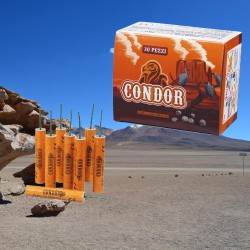 CONDOR